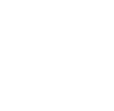 Moon AI