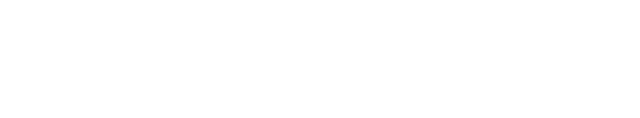 Moon AI